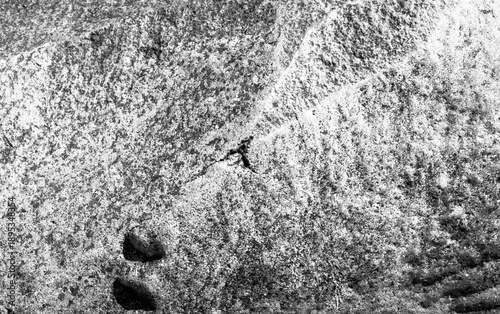 
Mineral's texture from the shore of Vancouver, Canada - 008