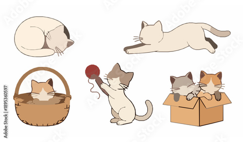 Adorable pet cats poses flat cartoon vector illustration set