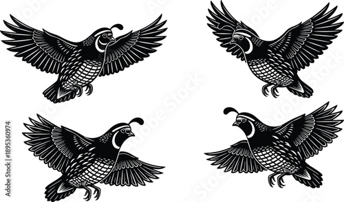 Black and white illustration of flying quails with detailed feathers and head plumes, wildlife silhouette artwork for nature, rustic, forest, and outdoor-themed designs.