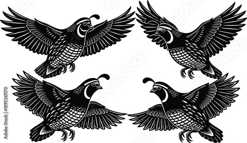 Black and white illustration of flying quails with detailed feathers and head plumes, wildlife silhouette artwork for nature, forest, rustic, and outdoor-themed designs.