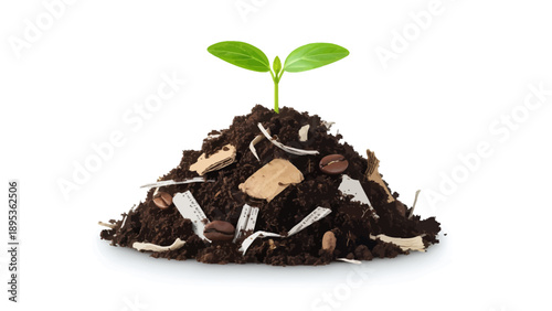 Small green plant growing from compost pile with coffee grounds and recyclables