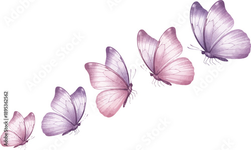 A diagonal line of five watercolor butterflies gently floating with delicate wings on a clean white background