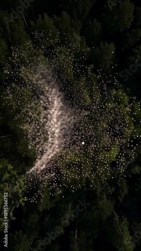 Wallpaper Mural Thousands of tiny lights illuminate a dark forest canopy Torontodigital.ca