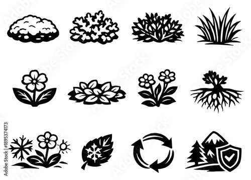 Tundra Flora and Vegetation in outline style: moss patch, lichen cluster, dwarf shrub, sedge grass, tundra flower, ground cover leaves, short stem plant, root. Vector icons