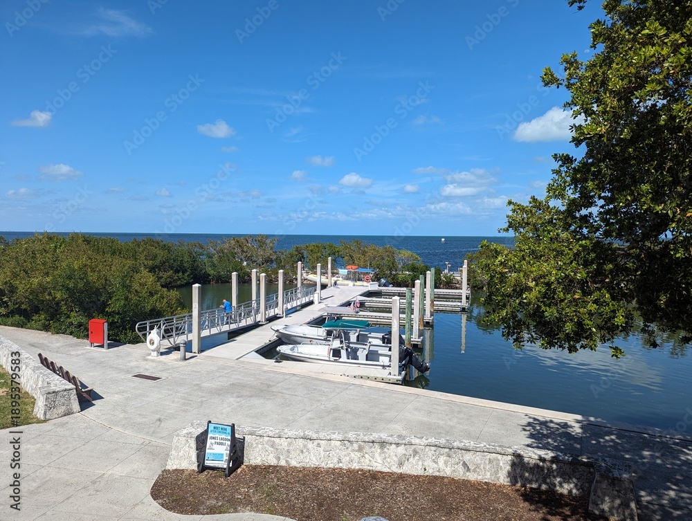 Ταπετσαρία Long line of boast tied up and ready to take visitors out to explore Biscayne National Park