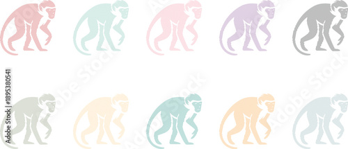 Monkey silhouettes in different pastel colors, Pastel primate animal illustration set