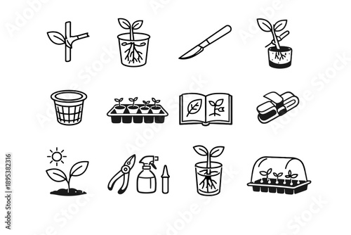 Icon clean plant multiple sunlight rooting propagation sterile vector dipped journal blade