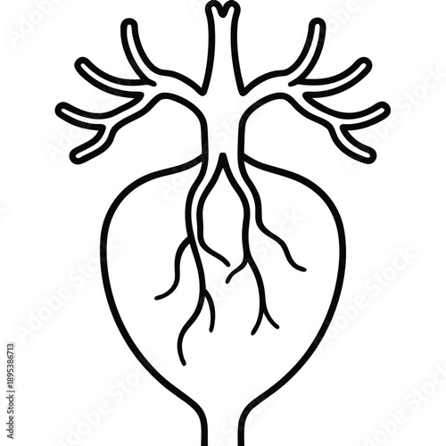 Linear Vector Of Human Heart Anatomy Illustration