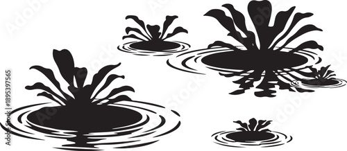 Water Droplets Splashing into a Pool of Water Silhouette