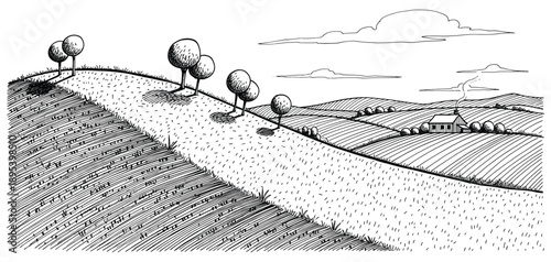 Country road through fields with farmhouse vector illustration hand drawn linear landscape design