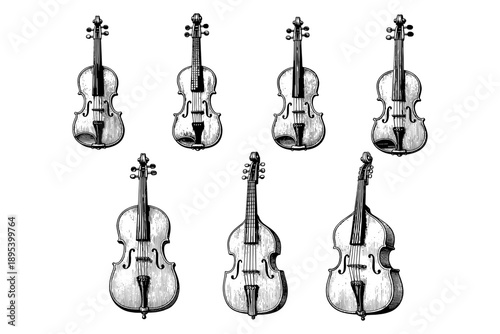 Collection of vintage string instruments – violins in classic sketch style