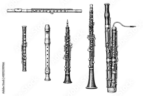 Vintage wind instruments collection: flute, recorder, oboe, clarinet, bassoon sketch