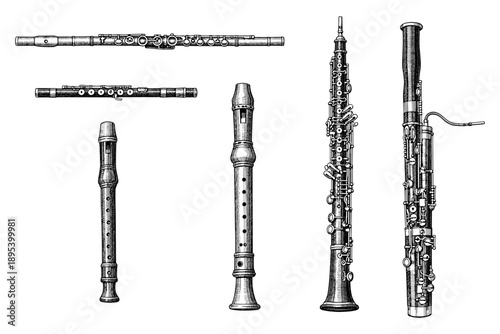 Detailed vintage woodwind instruments illustrations: flute, recorder, oboe, bassoon collection