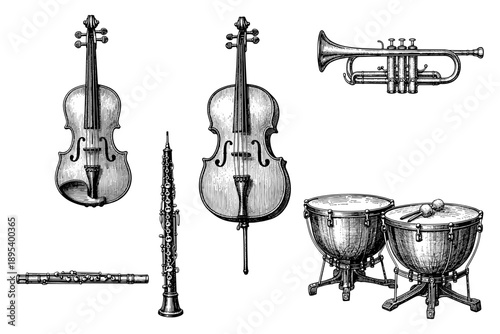 Orchestral instruments: violin, cello, trumpet, oboe, timpani - classic music ensemble