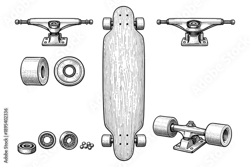 Longboard parts and components illustration - deck, trucks, wheels, bearings
