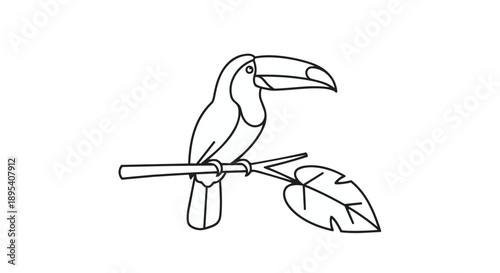 A black line drawing of a toucan on a branch with leaves