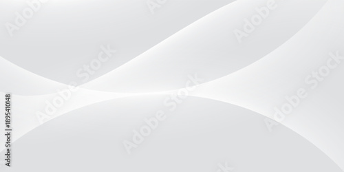 Curtain white wave soft shadow and blurred. frabic shapes curve designs. abstract backround on isolated. Vector Modern