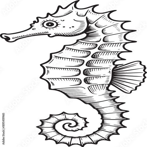 Detailed line drawing of a seahorse with spiky fins and a curled tail on a white background art piece