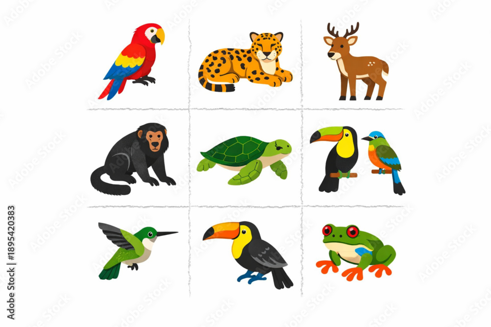 Obraz premium Honduran Rainforest Wildlife Illustration