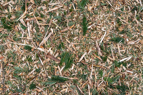 Fotografie A pile of wood chips and twigs on the ground