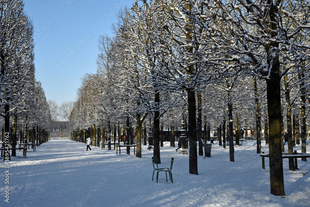 Fototapeta premium Temps&nbsp;de neige au Jardin des Tuileries en hiver à Paris