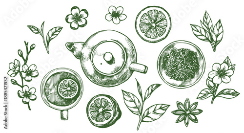 A set of tea elements. A teapot, tea, and tea bags. Vector illustration in sketch style.