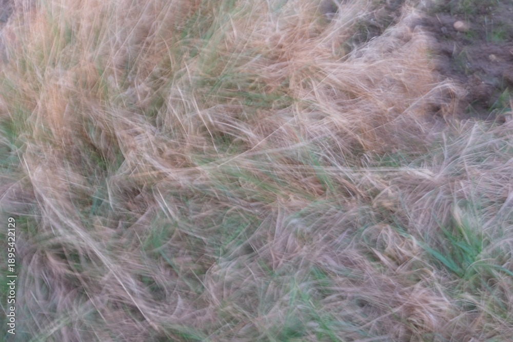 Obraz premium A blurry image of a field with grass and dirt