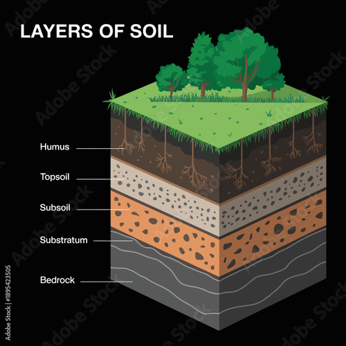 Soil composition layers infographic with humus topsoil subsoil and bedrock  educational diagram