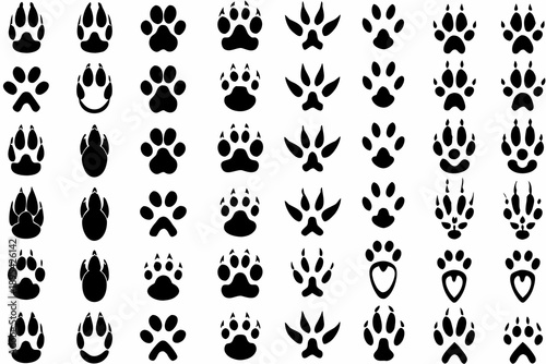 Collection of various animal paw prints arranged in a grid pattern