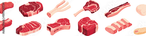 Raw meat cuts vector set, beef pork lamb steaks, butcher shop food illustration collection