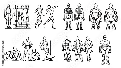 Figure Study Toolkit in outline style: proportion guides, gesture flow, anatomical reference, muscle definition, posture study, balance check, form refinement. Vector icons