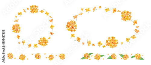 Photos Watercolor fragrant orange osmanthus floral frames and lines set High quality	-3