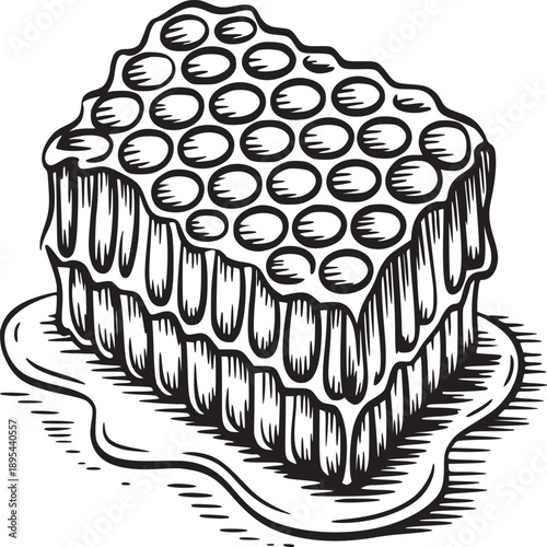 Illustration of a honeycomb piece dripping with honey in black and white drawing style art