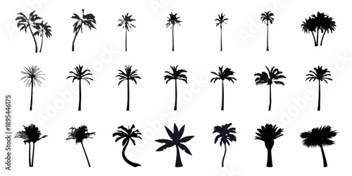 Collection of diverse black silhouette palm trees arranged in a grid pattern
