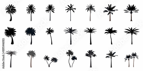 Collection of silhouetted palm trees in varying shapes and sizes