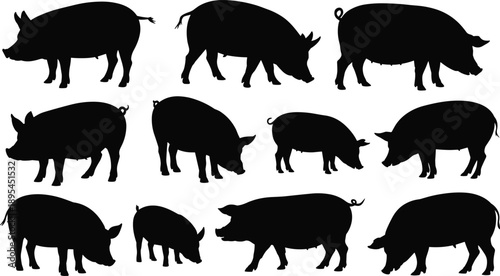 Set of pig silhouettes in various standing and walking poses, black farm animal livestock vector collection featuring boar, sow, and piglet isolated on white background
