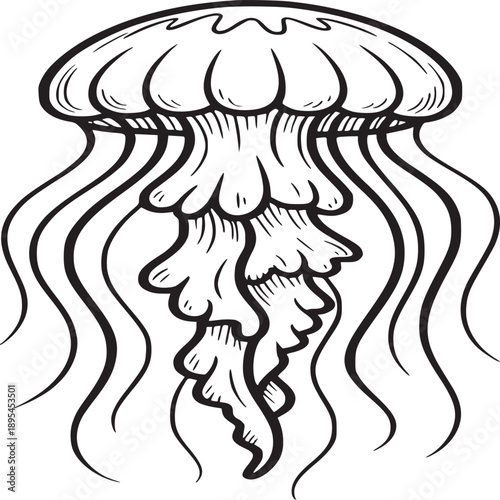 A black and white drawing of a jellyfish with long tentacles on a white background illustration art