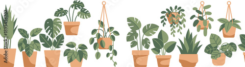 Modern indoor plant illustration collection with potted and hanging houseplants, monstera and tropical foliage in flat botanical vector style on white background