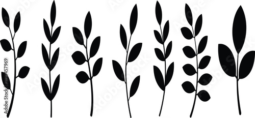 Botanical leaf silhouette collection featuring minimalist plant branches and foliage elements isolated on white background for nature and floral design use