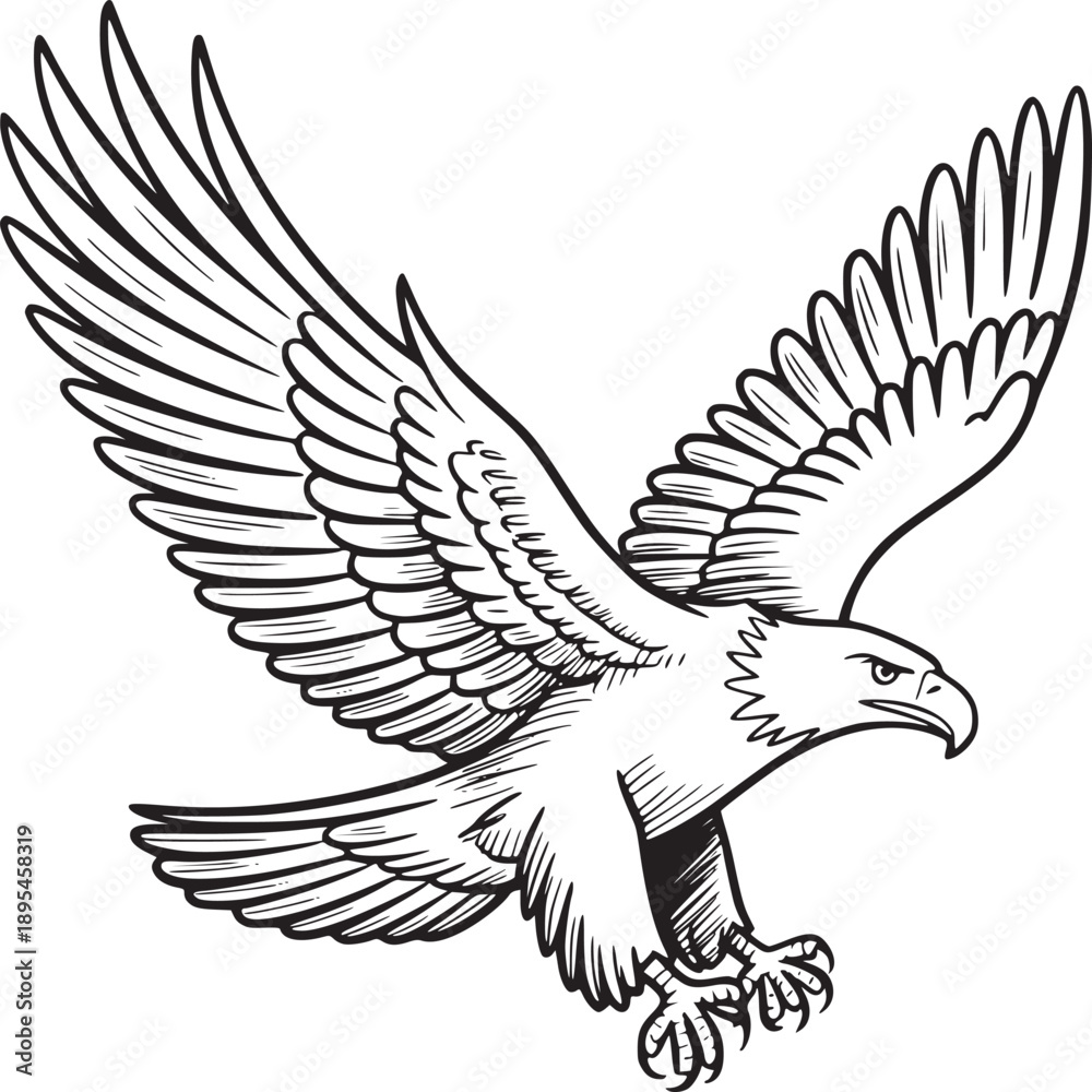 Obraz premium Majestic bald eagle flying vector illustration, powerful predatory bird with spread wings, black and white eagle line art mascot for sports logos
