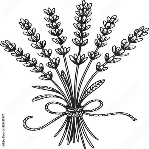 A simple illustration of a lavender bouquet tied with string on a white background in a cartoon style