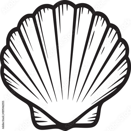 A simple line drawing of a scallop shell with radiating lines on a white background illustration