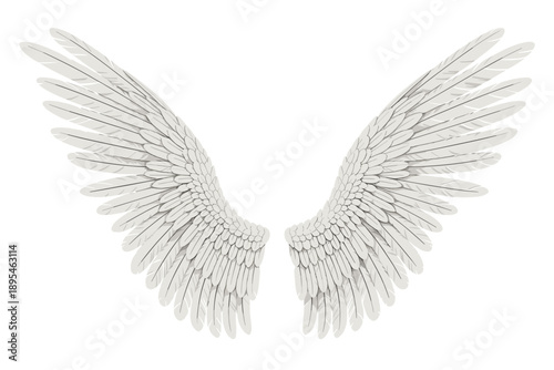 Detailed angel wings illustration isolated on white background, symmetrical feathered wings design symbolizing spirituality, freedom, protection, fantasy and heavenly concept