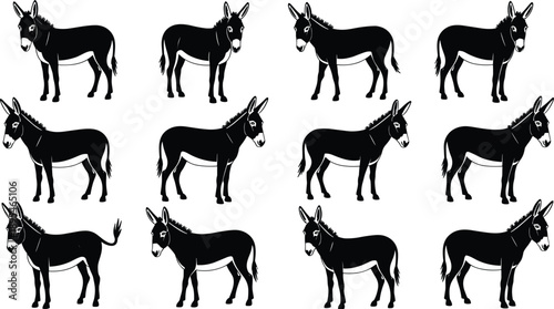 Donkey silhouette illustration set, black flat animal icons in different poses, farm livestock collection for logo design, education and graphic projects