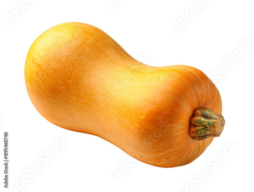 A fresh butternut squash ready for cooking Isolated Transparent Background, PNG