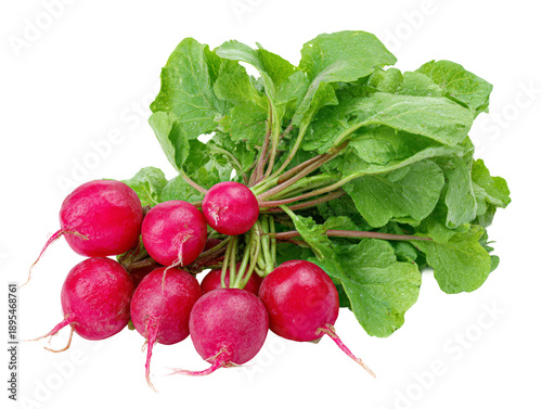 Fresh red radishes with vibrant green leaves Isolated Transparent Background, PNG
