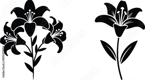 Black and white lily flower illustration, floral bouquet design, botanical sketch, elegant line art, monochrome bloom, vintage aesthetic, nature drawing