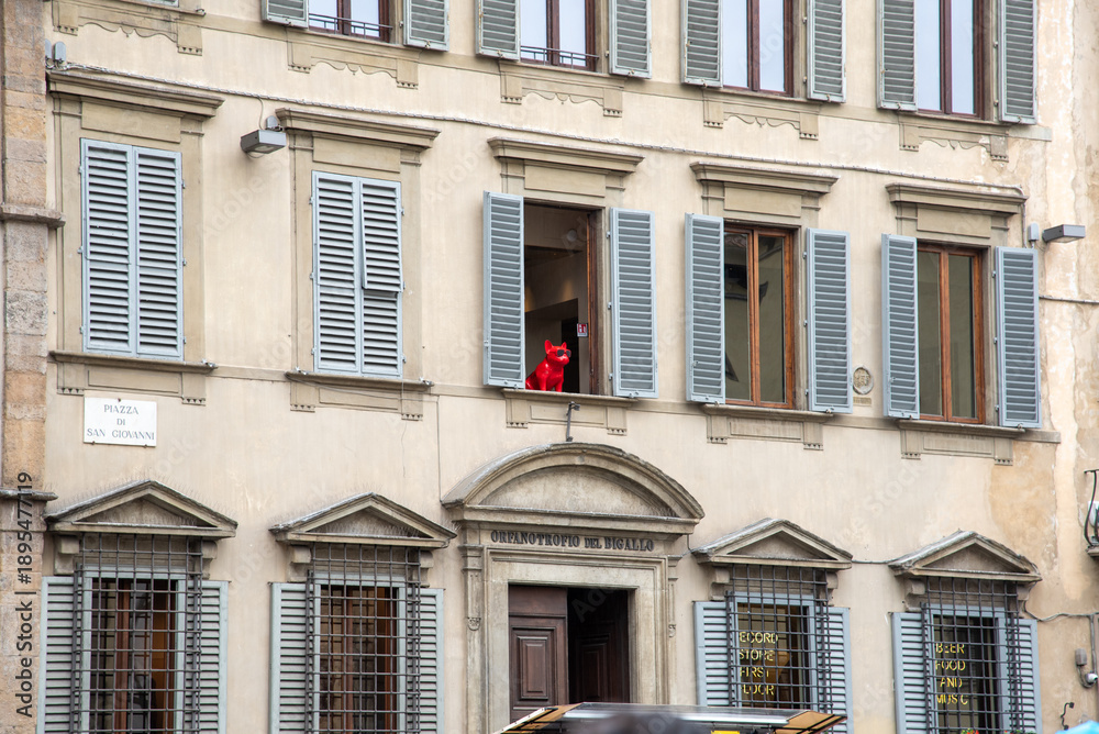 Obraz premium Firenze, Florence, Tuscany, Toscana, Italy, italia, 