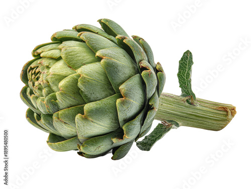Fresh artichoke, showcasing its intricate, layered structure and earthy green hue. Isolated Transparent Background, PNG