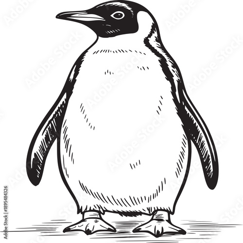 A black and white sketch of an emperor penguin standing on a flat surface looking to the left